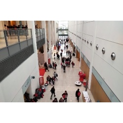 XII Congresso Erickson - Rimini, 15-17 Novembre 2019-13